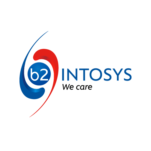 b2intosys