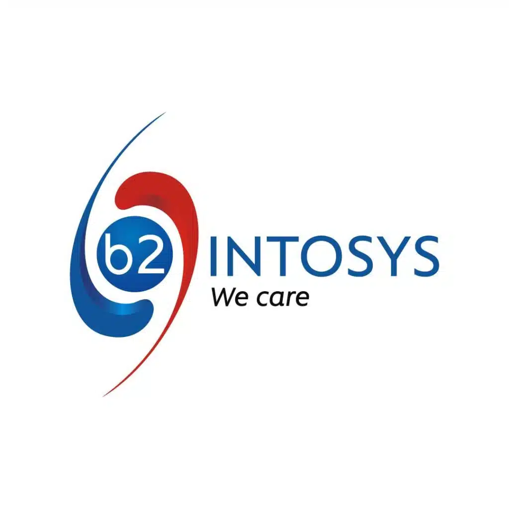 b2intosys-global-it-service-2